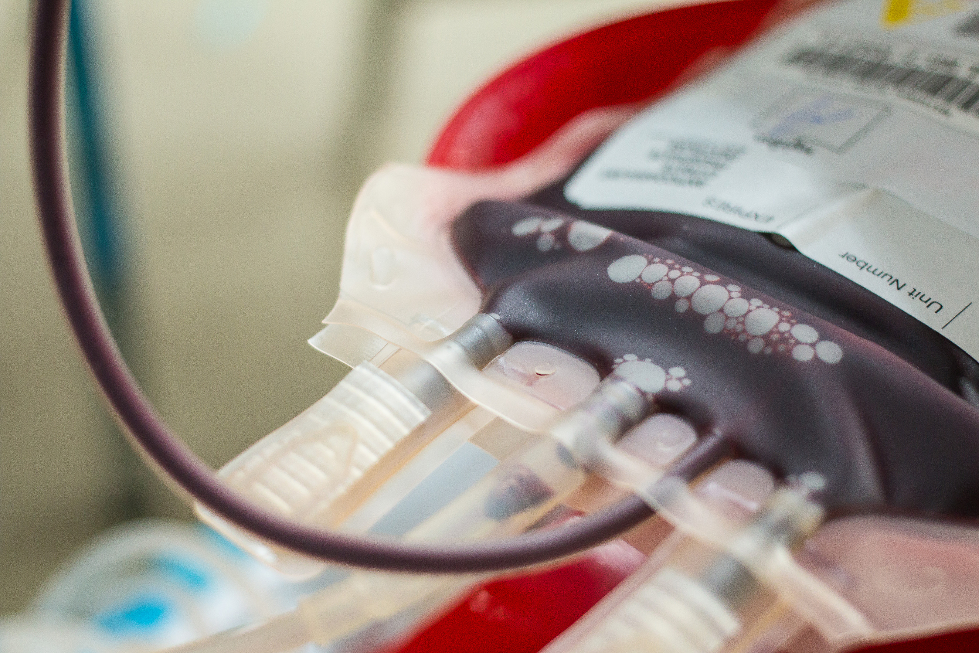 Research blood storage bag in laboratory setting