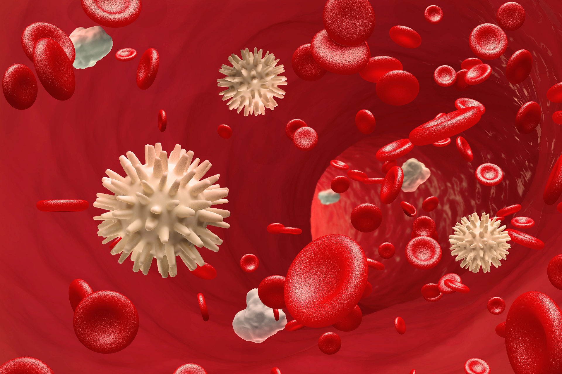 Blood cells microscopic view